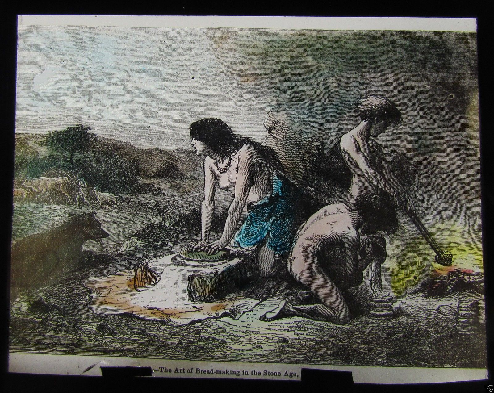 The history of sourdough bread