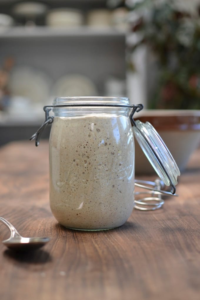 bubbly sourdough starter