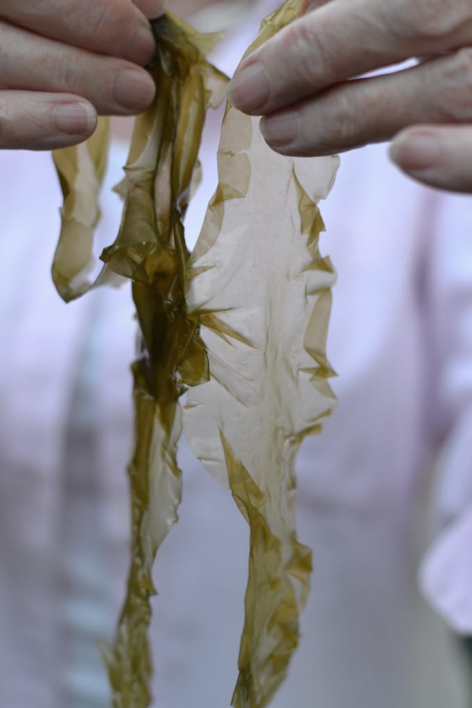 sourdough seaweed