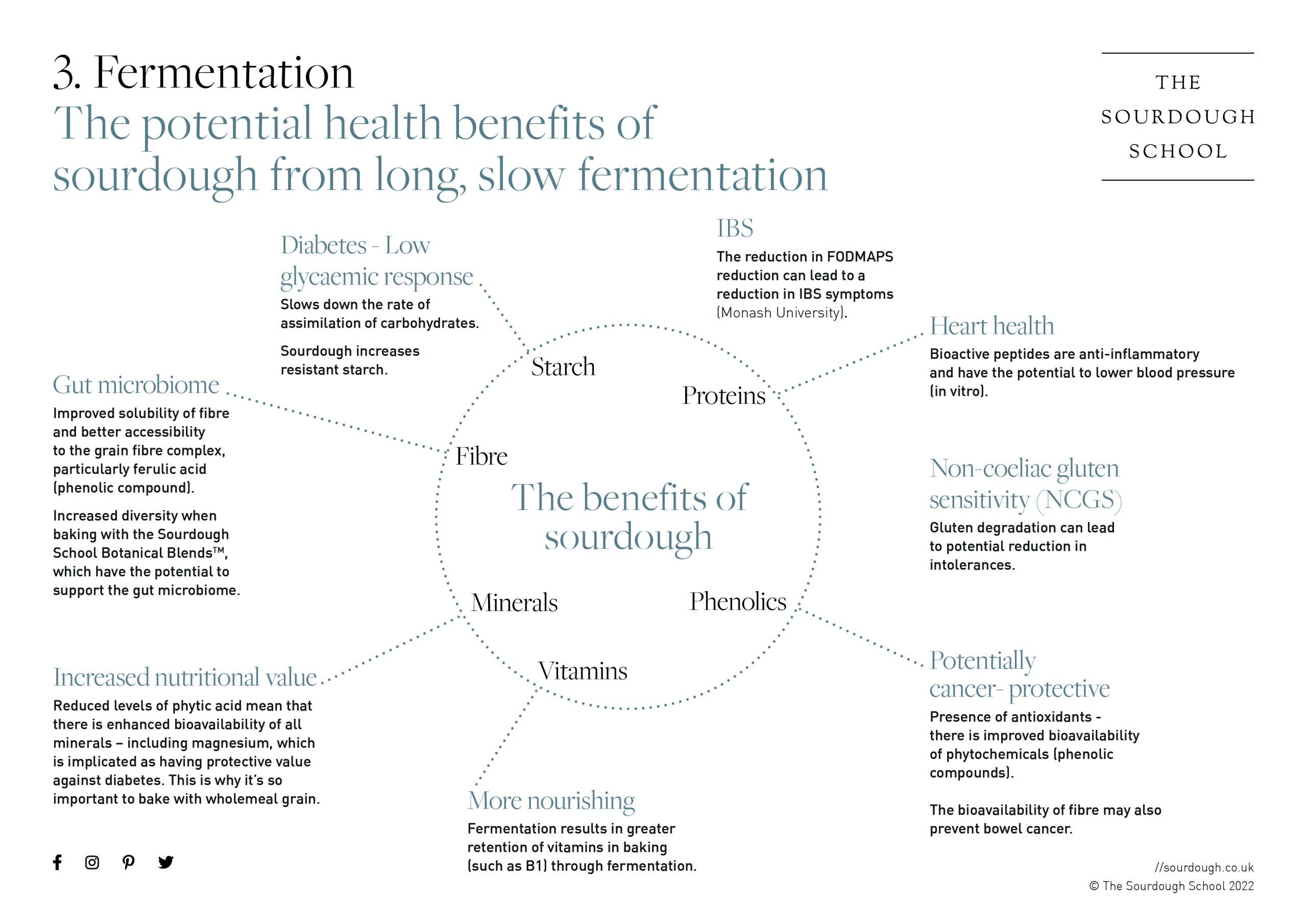 An overview of the potential health benefits of sourdough