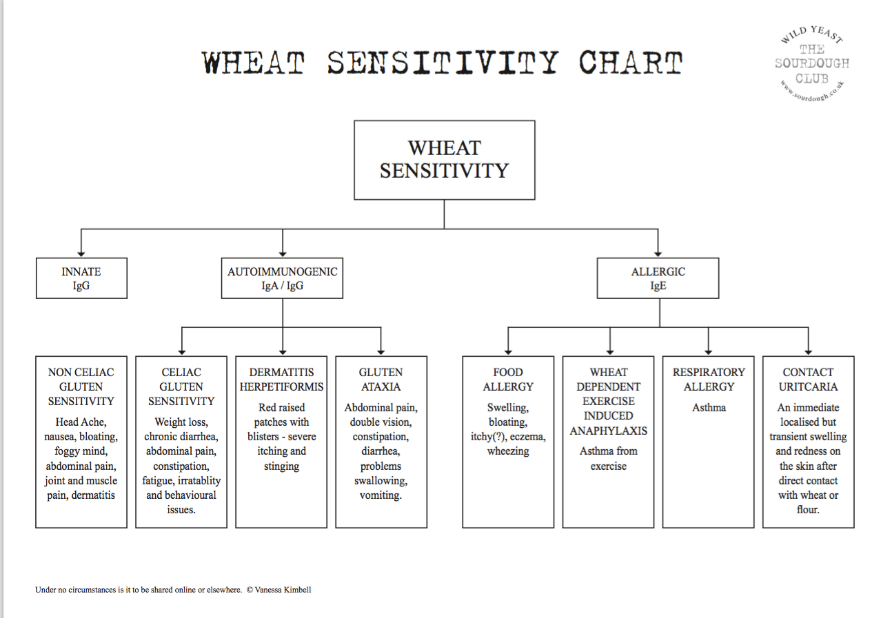 There are many kinds of wheat sensitivity - this chart is a summary of the main ones