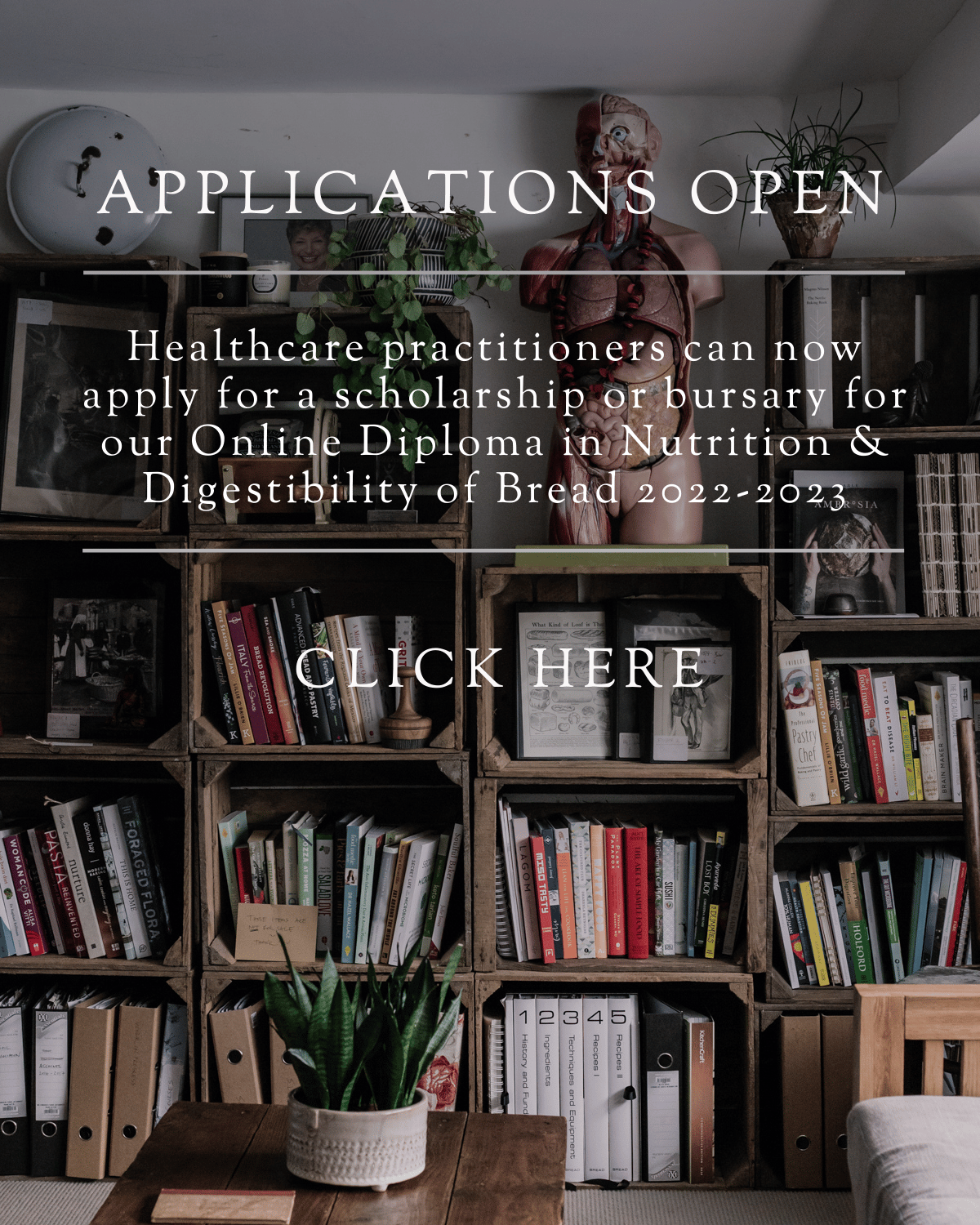 The Sourdough School Online Diploma in Nutrition & Digestibility of Bread 2022-2023 – apply for a scholarship or bursary