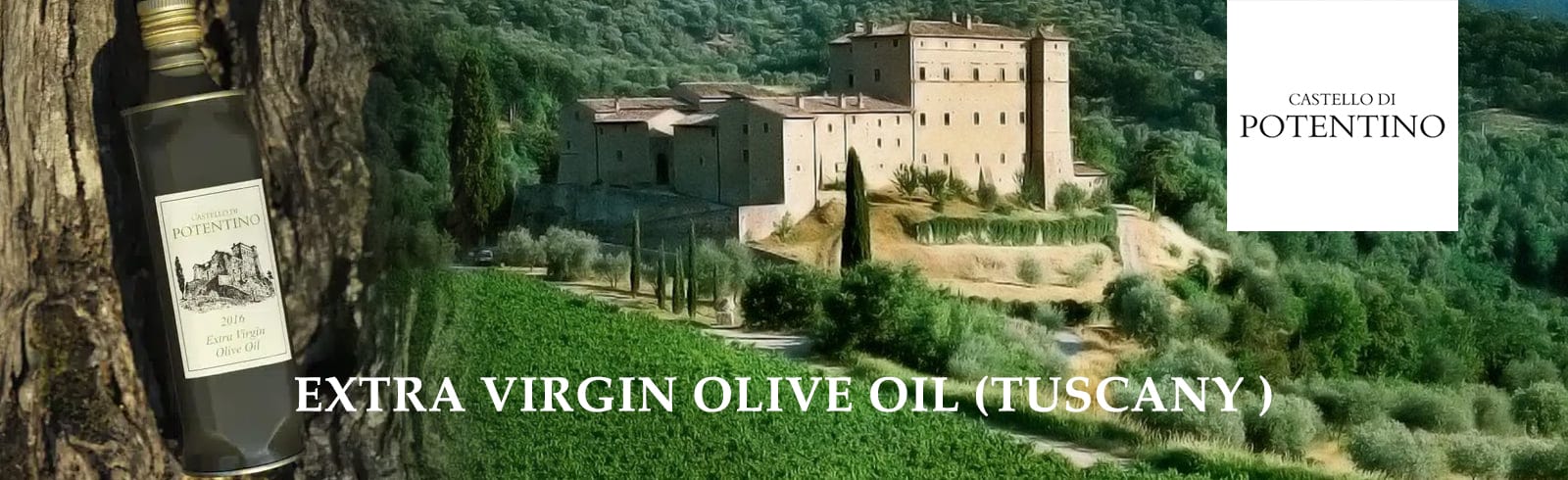 Potentino extra virgin olive oil