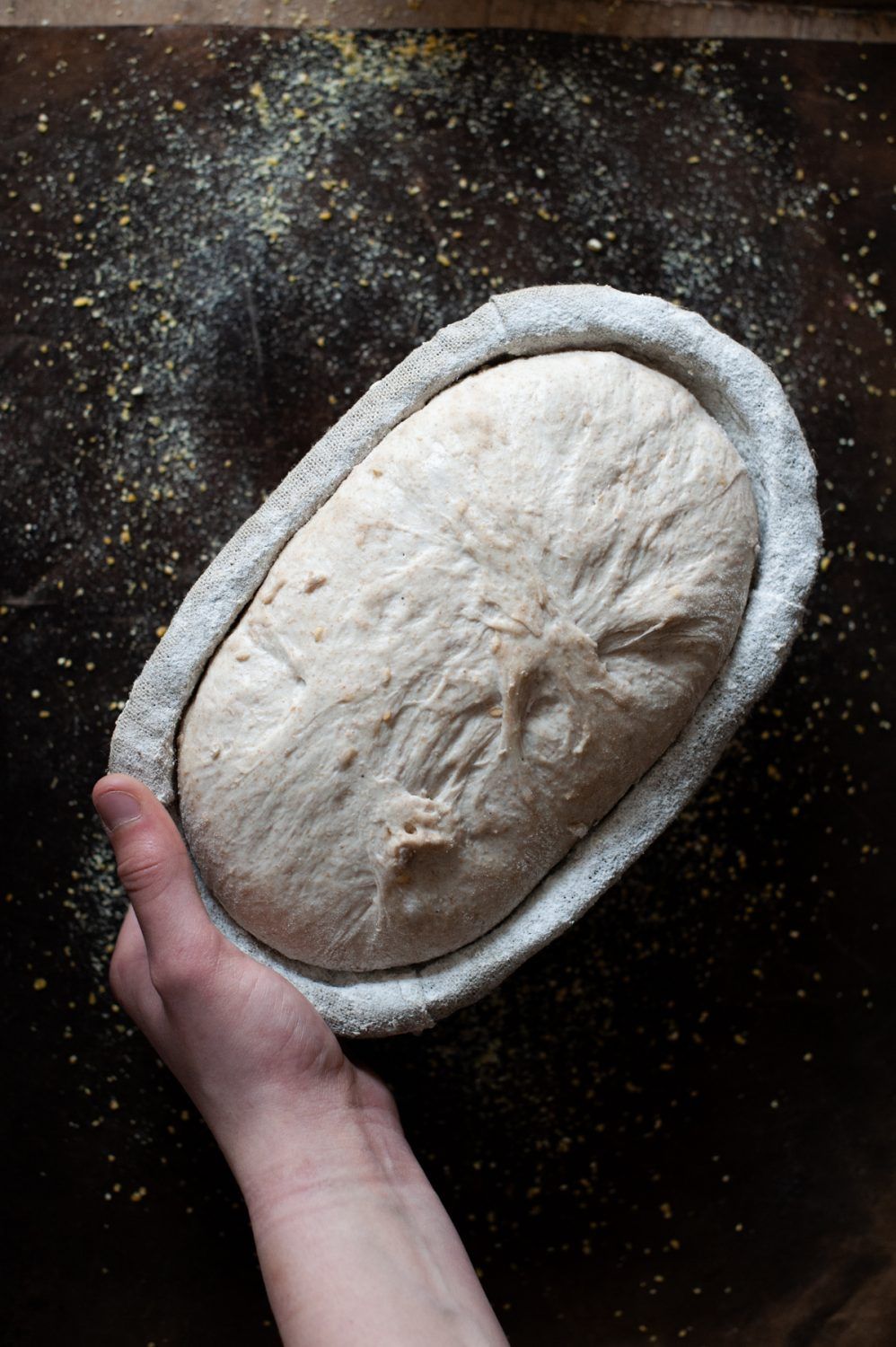 The Sourdough School by Vanessa Kimbell – signed copy - Image 4