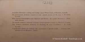 1900 – HARVESTING – MONITOBA CANADA 1900 – Harvesting - Monitoba, Canada