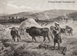 1875 – fertile crescent – syria 1875 – Fertile crescent – Syria