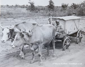 1948 – bread – transporting – russia 1948 – Transporting bread – Russia