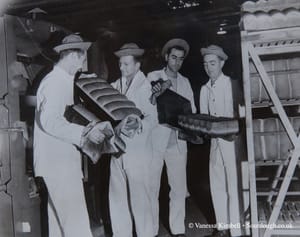 1942 – bread – military – uk 1942 – Military bread - UK