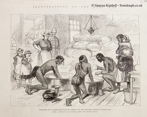1879 – bread – zulu war 1879 – Bread during the Zulu war