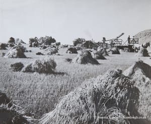 1942 – wheat – harvest – canada 1942 – Wheat harvest – Canada