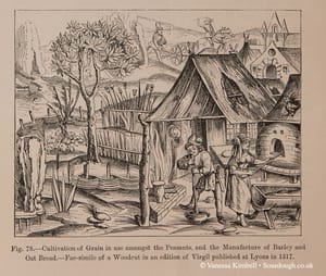 1517 – oats – barley – lyon 1517 – oats – barley – lyon