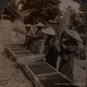 1904 – threashing machine- japan 1904 – Threshing machine - Japan