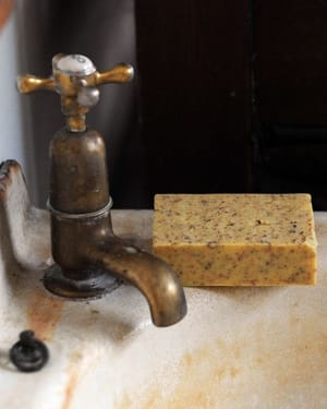 Sourdough Soap