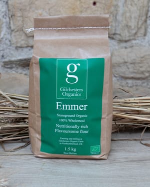 gilchester emmer flour