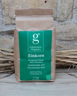 gilchester flour einkorn