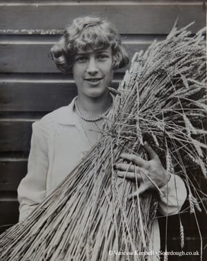 1929 – wheat – usa 1929 – Wheat – USA