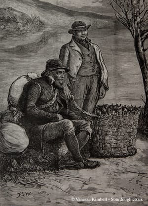 1888 – potatoes – ireland 1888 – Potatoes – Ireland