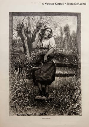 1883 – millers daughter – uk 1883 – Miller's daughter – UK