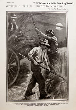 1900 – harvest – lincolnshire – uk 1900 – Harvest – Lincolnshire, UK