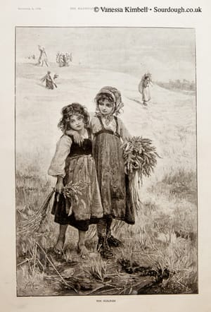1891 – harvest – cleaners – uk 1891 – Harvest cleaners – UK