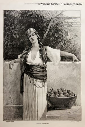 1884 – oranges – uk 1884 – Oranges – UK