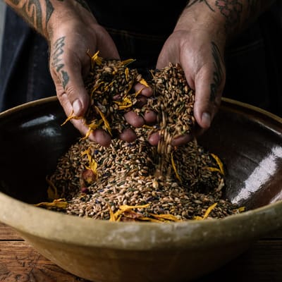 British flour and grain