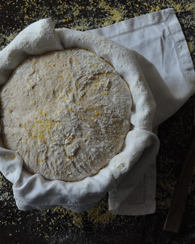 Identifying Sourdough