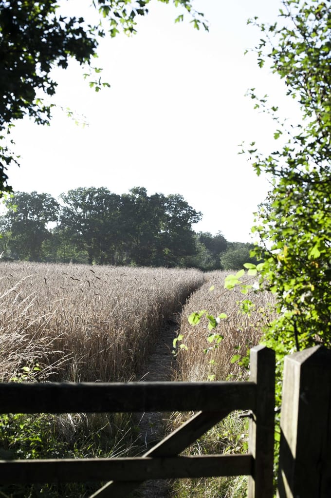 Gails – Are they ruining the landscape for independent bakers or heroes changing the balance of power?