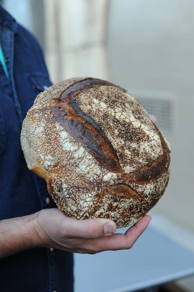 What is the difference between Ambient and Retarded Sourdough?