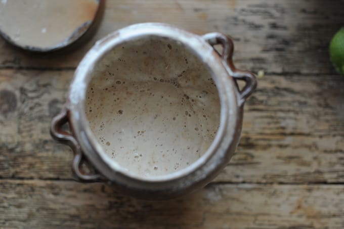 sourdough starter