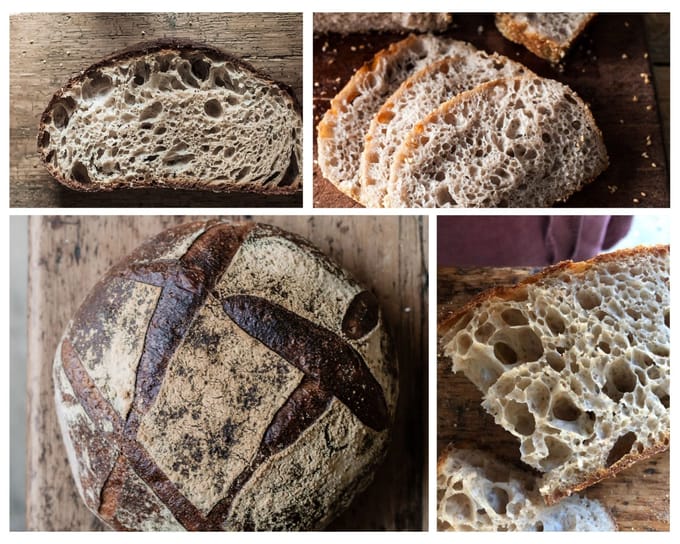 BALM – The Art and Science of How to Bake The Healthiest Bread in the World