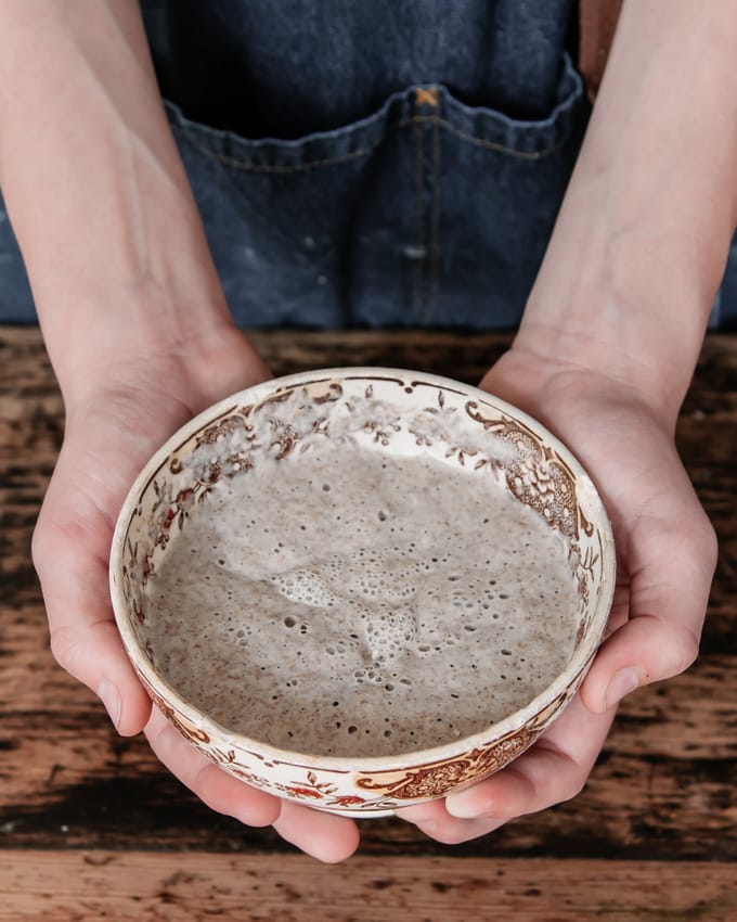 sourdough leaven
