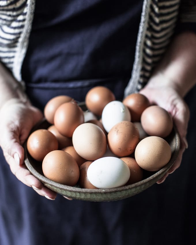 eggs