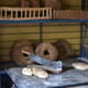 sourdough being cut in france