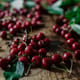 Fresh cherries on a wooden table