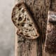 A close up of a slice of crusty soudough is on top of a rustic wooden table