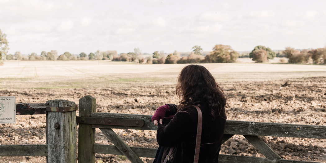 Looking out over a wheat field