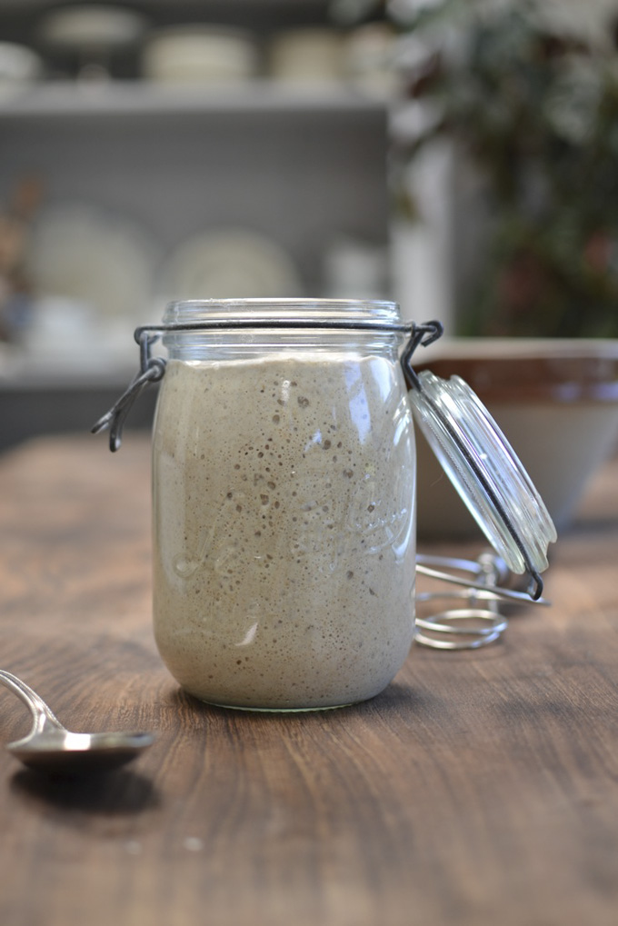 bubbly sourdough starter