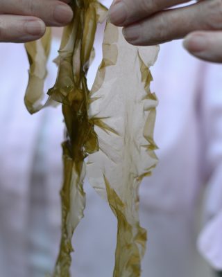 sourdough seaweed