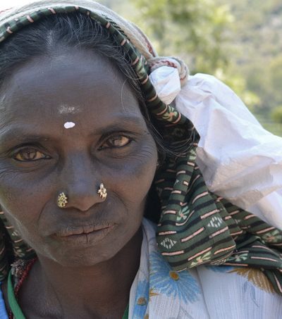 Fairtrade tea picker