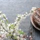 beautiful flowers next to chocolate sourdough cake