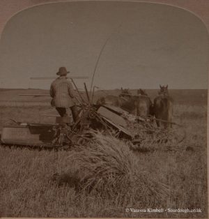 1900 – Harvesting - Monitoba, Canada