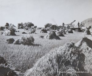 1942 – Wheat harvest – Canada