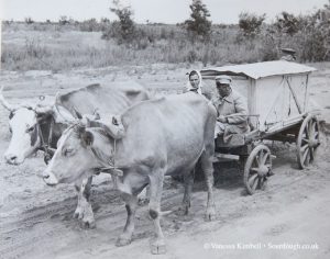 1948 – Transporting bread – Russia