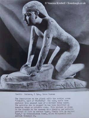1965 – Early bread making - Egypt