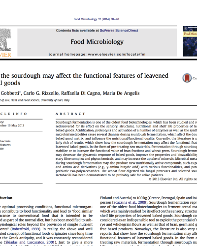 Functional aspects of sourdough