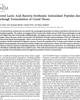 Sourdough lactic acid bacteria and antioxidant peptides