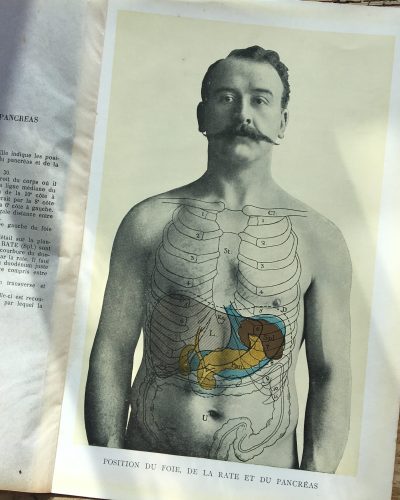 1900's French Digestive system picture.
