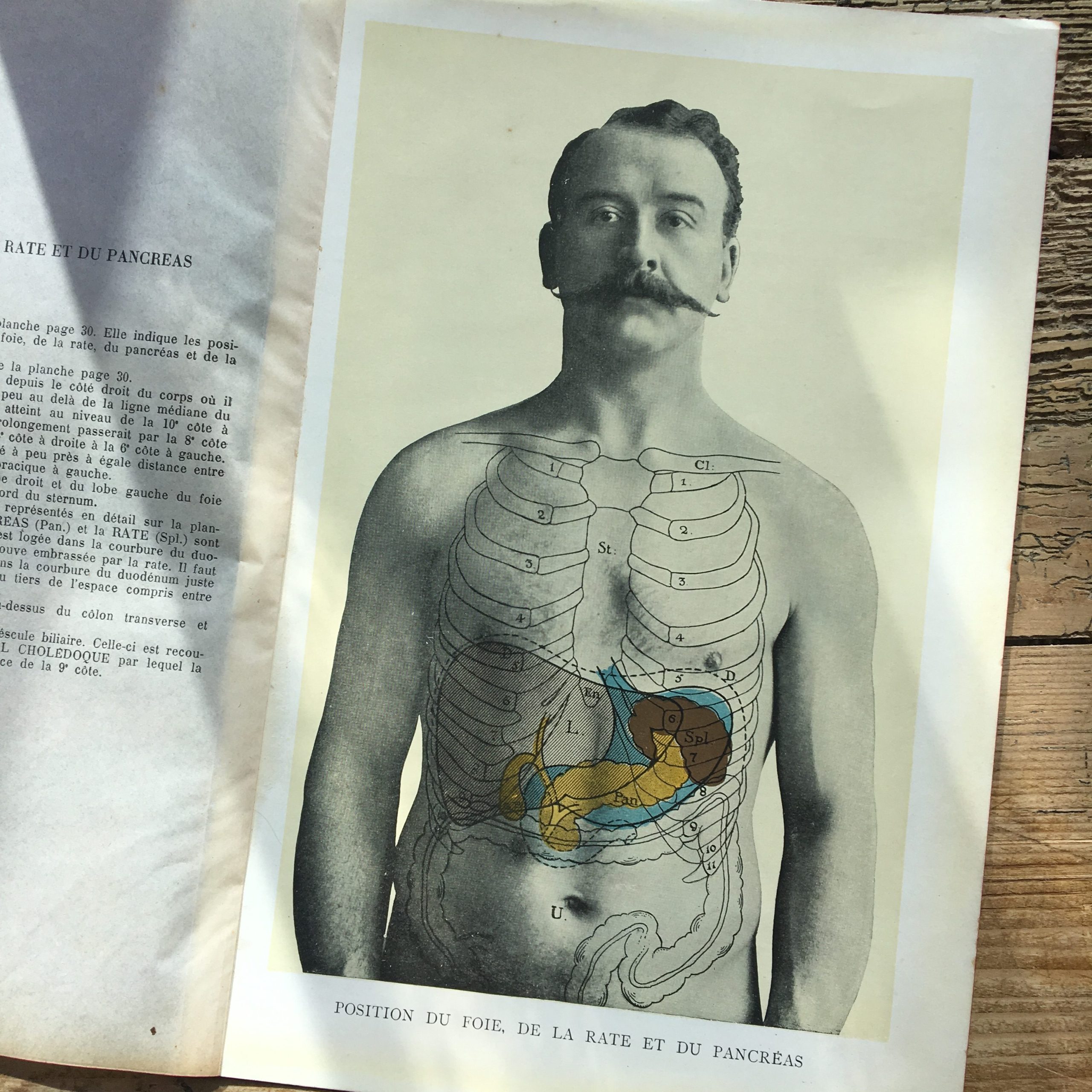 nineteen hundreds digestion picture