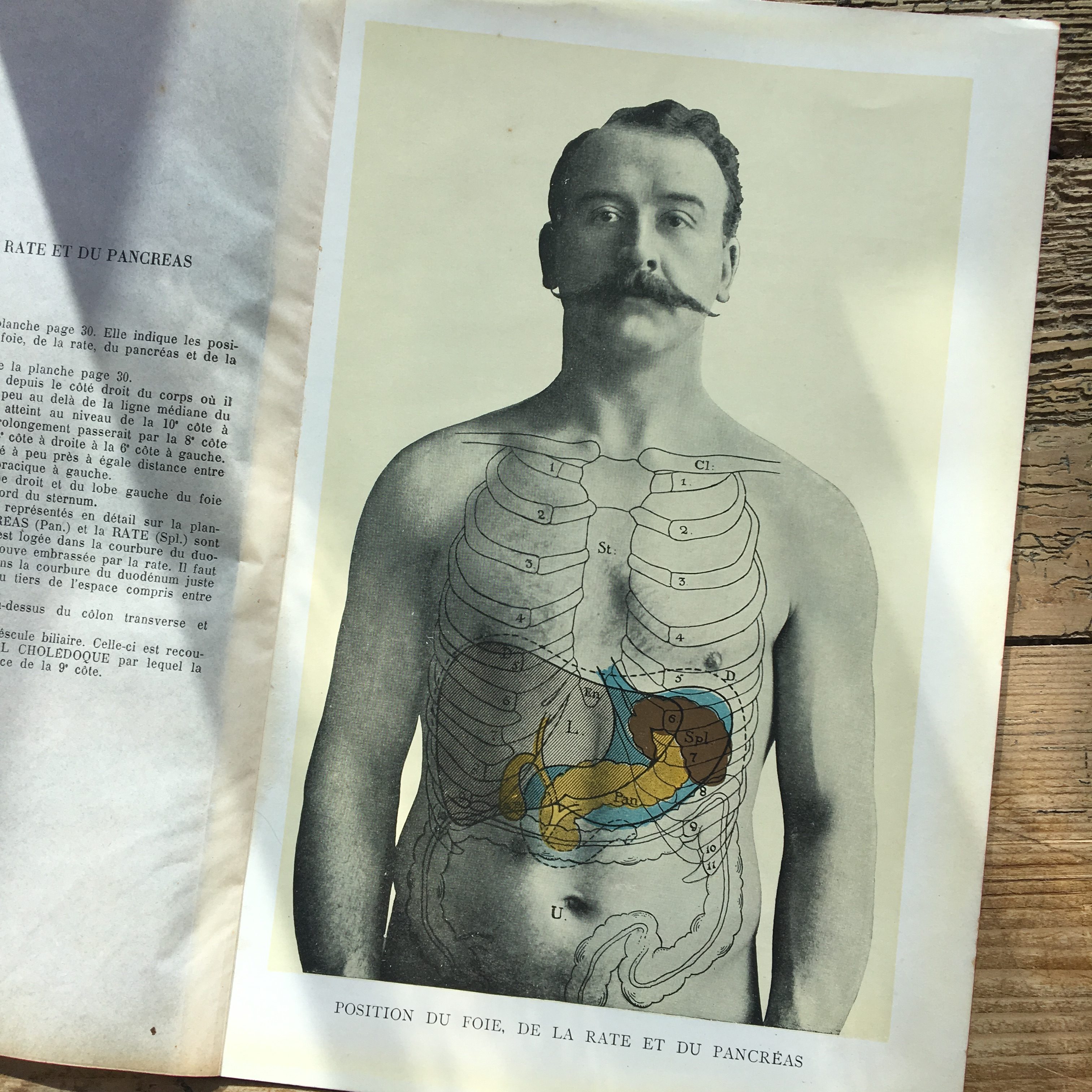 nineteen hundreds digestion picture